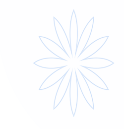 壹号国际· (娱乐)官方网站